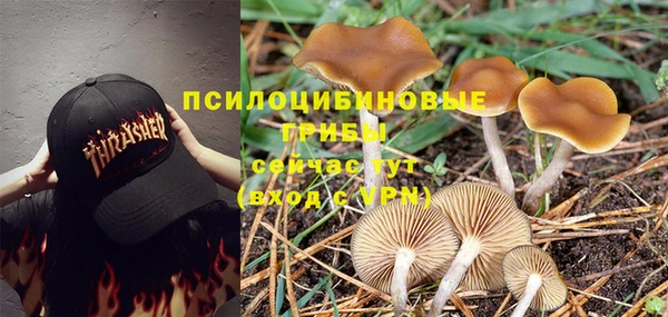 mix Баксан