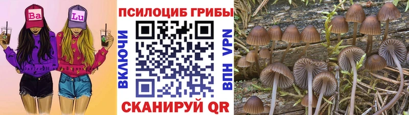 Галлюциногенные грибы Cubensis  Североморск 
